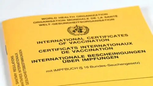 Vorlage eines gefälschten Impfbuches - Urkundenfälschung