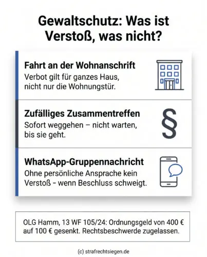 Infografik zu Gewaltschutz und Verstößen