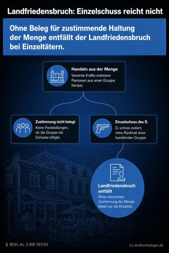 Infografik (Entscheidungsbaum): Landfriedensbruch nur bei Gruppenhandeln – Einzelschuss ohne Zustimmung der Menge reicht nicht