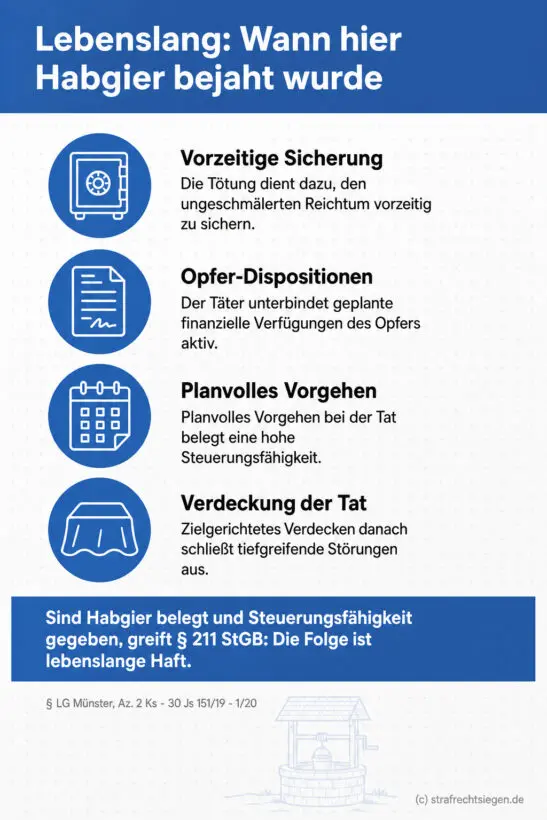 Infografik (Checkliste): 4 gleichwertige Kriterien für Habgier-Mord und Schuldfähigkeit, Fazit lebenslange Haft nach § 211 StGB.