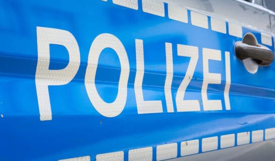 Das Führungszeugnis – Auszug aus dem Bundeszentralregister