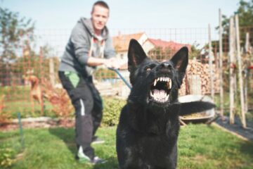 Strafbarkeit Hundehalter wegen fahrlässiger Körperverletzung für Bissverletzung