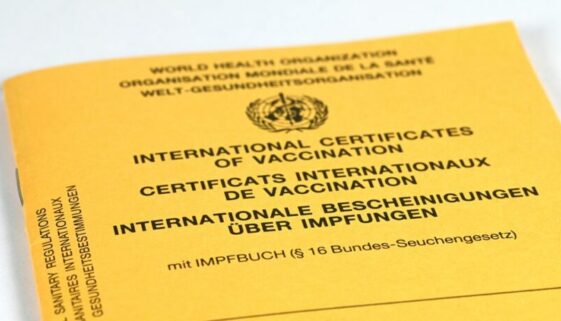 Vorlage eines gefälschten Impfbuches - Urkundenfälschung