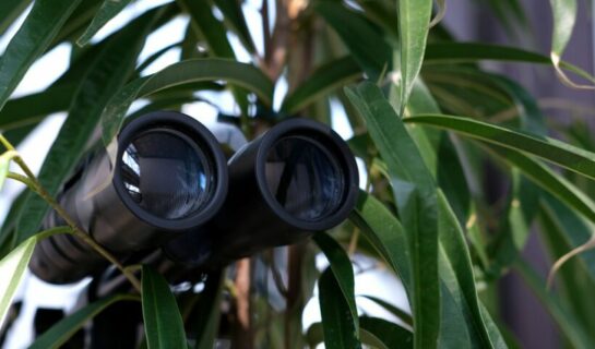 Längerfristige Observation –  Zufallserkenntnis – Verwertbarkeit
