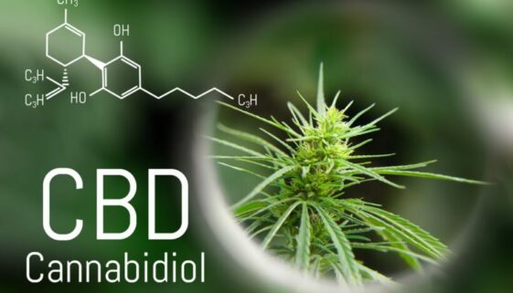 Cannabidiol