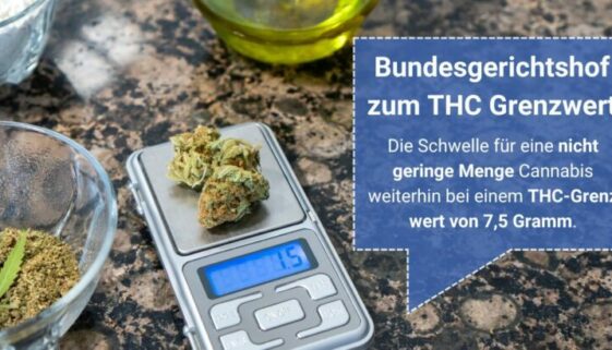 Cannabis auf Waage, THC-Grenzwert Information in Deutschland.