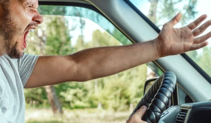 Fristlose Kündigung – während Dienstfahrt begangene Gefährdung des Straßenverkehrs